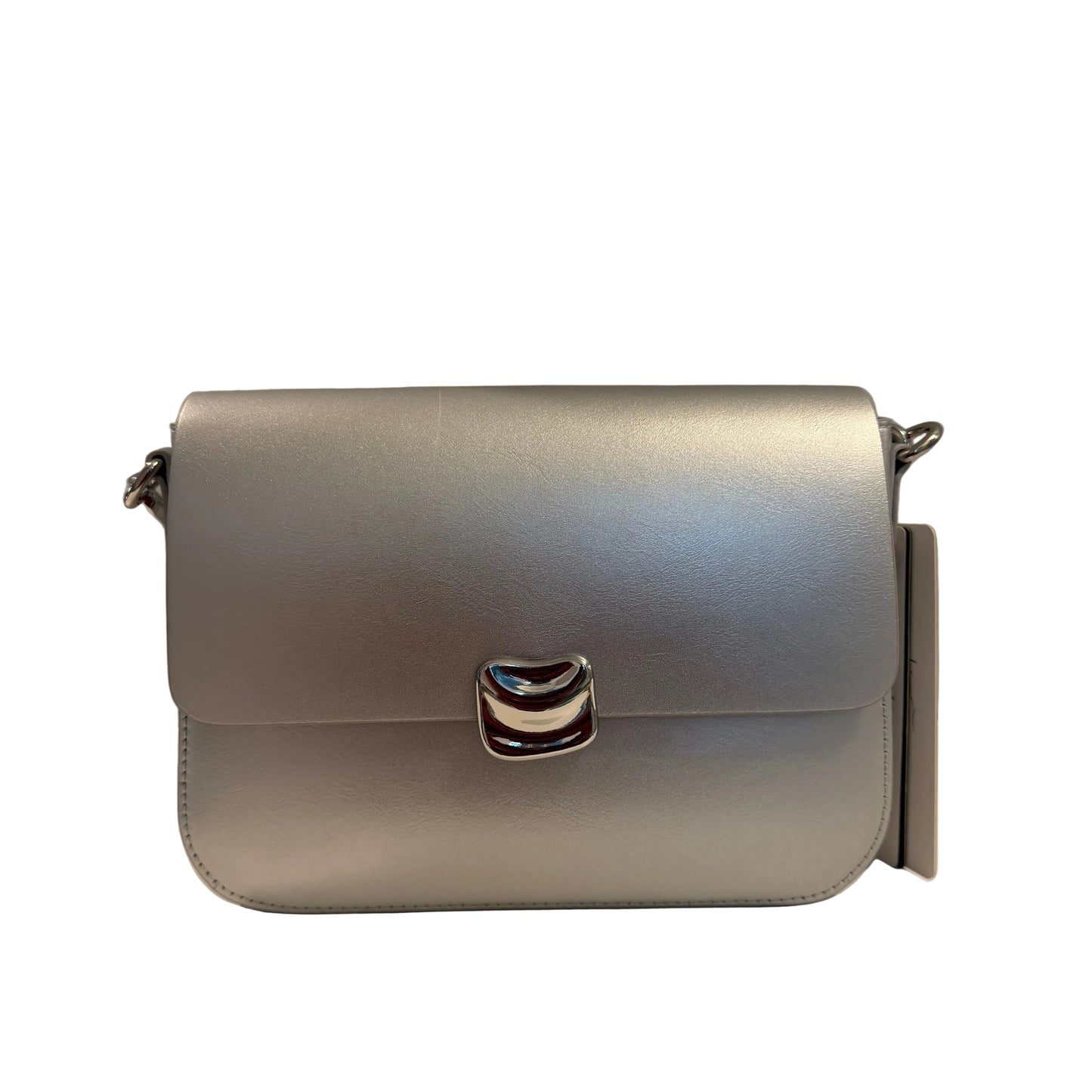 Silver handbag with a decorative clasp on a neutral background