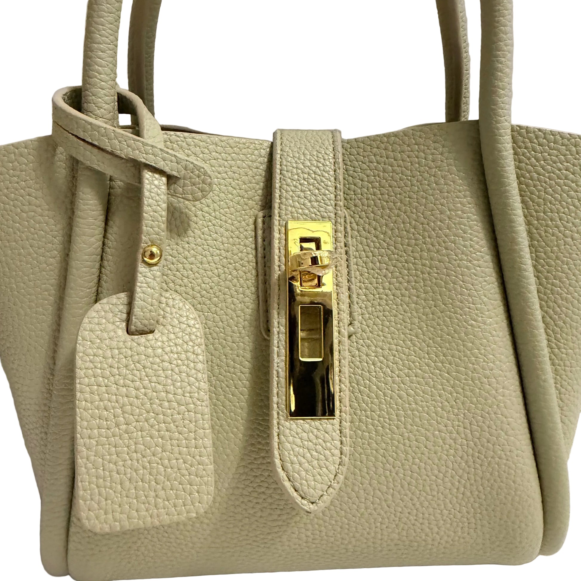 Light green handbag with a gold clasp on a neutral background
